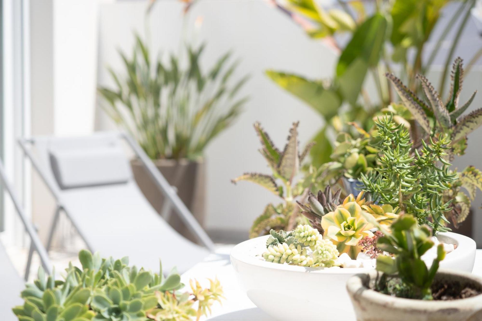 Appartamento Atico Con Terraza La Venencia